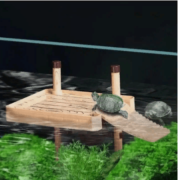 Черепаховая терраса